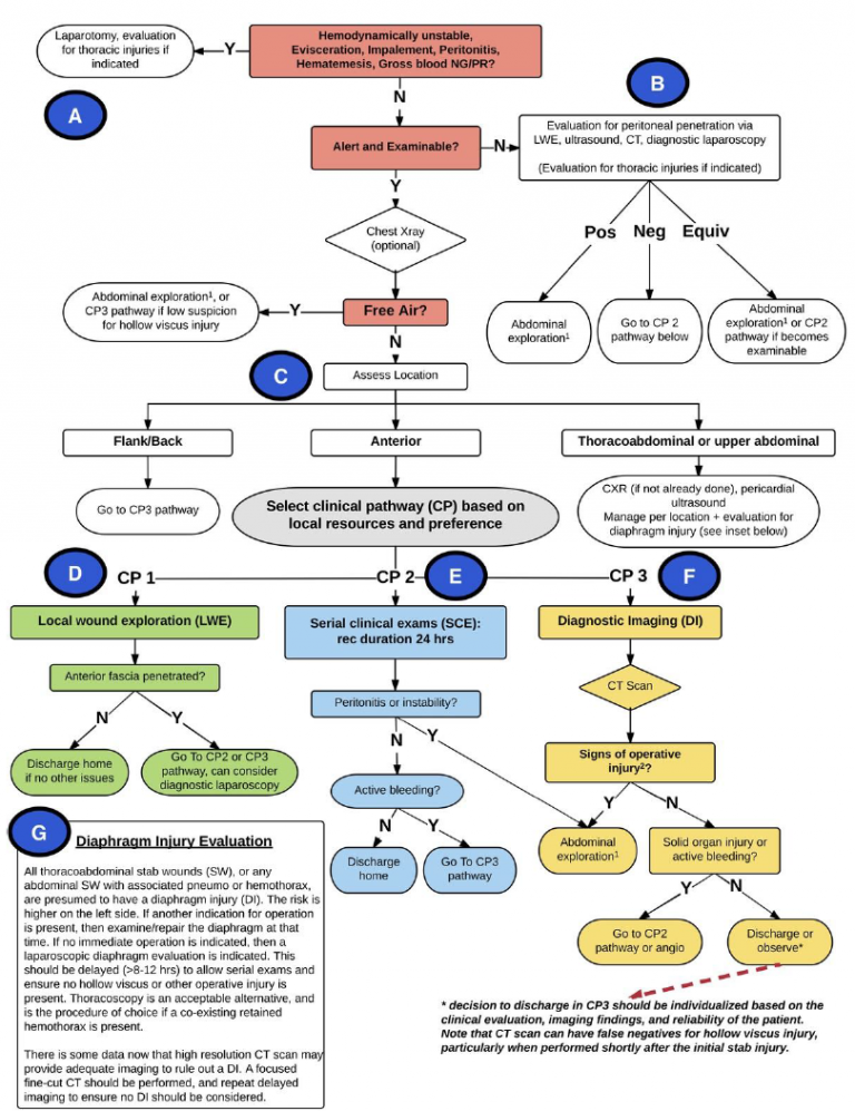 Stab To The Abdomen: The WTA Algorithm | The Trauma Pro