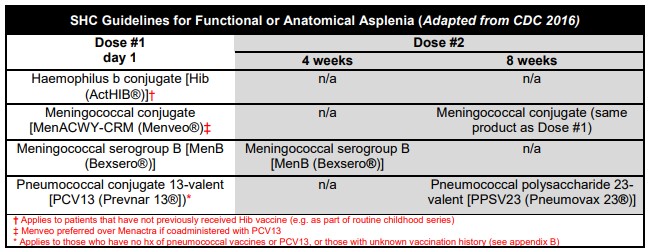 Spleen Vaccines So Confusing Part 1 The Trauma Pro